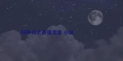 特种兵之最强龙皇 小说
